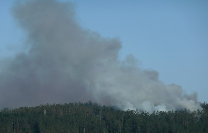 Un incendie sur le camino