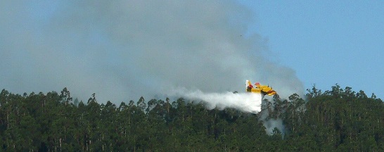 Coup réussi d'un Canadair