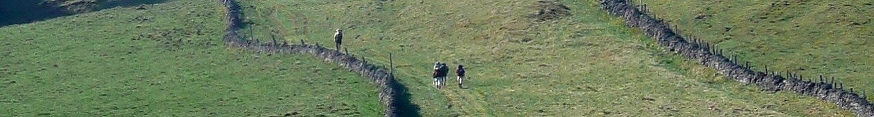 Draille Aubrac