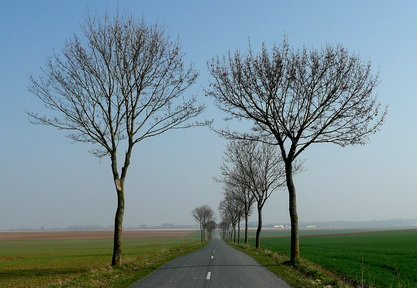 Allée champenoise