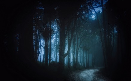 Lueur dans le bois lueur_et_bois